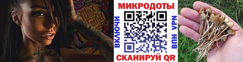 ОМГ ОМГ рабочий сайт  Балабаново  Псилоцибиновые грибы Psilocybe 