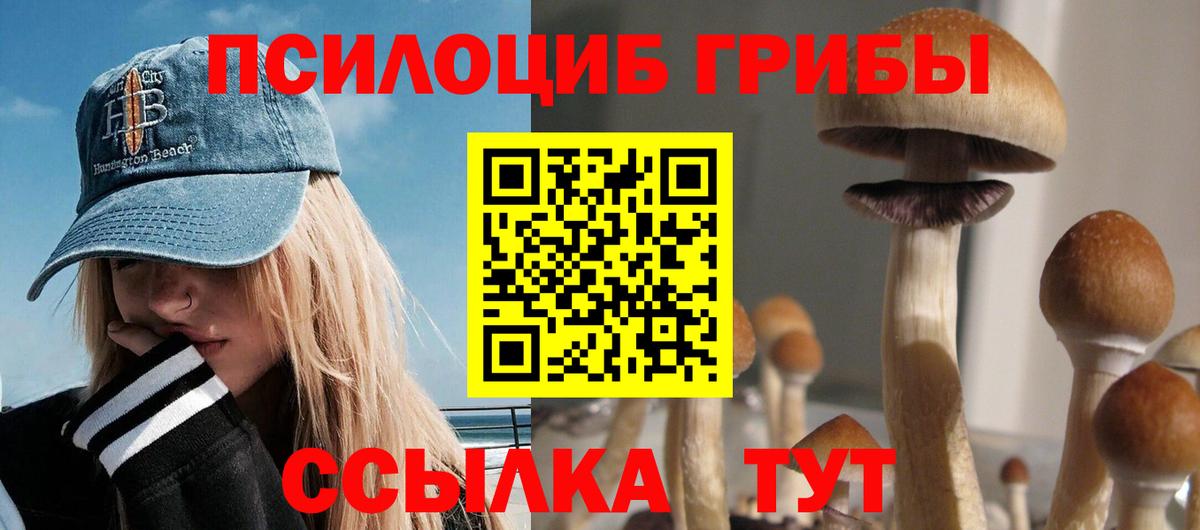 Псилоцибиновые грибы MAGIC MUSHROOMS Балабаново